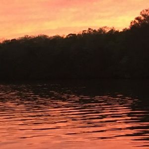 Meet your Posher, Bailey